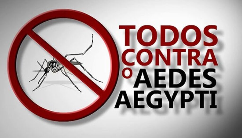 aedes